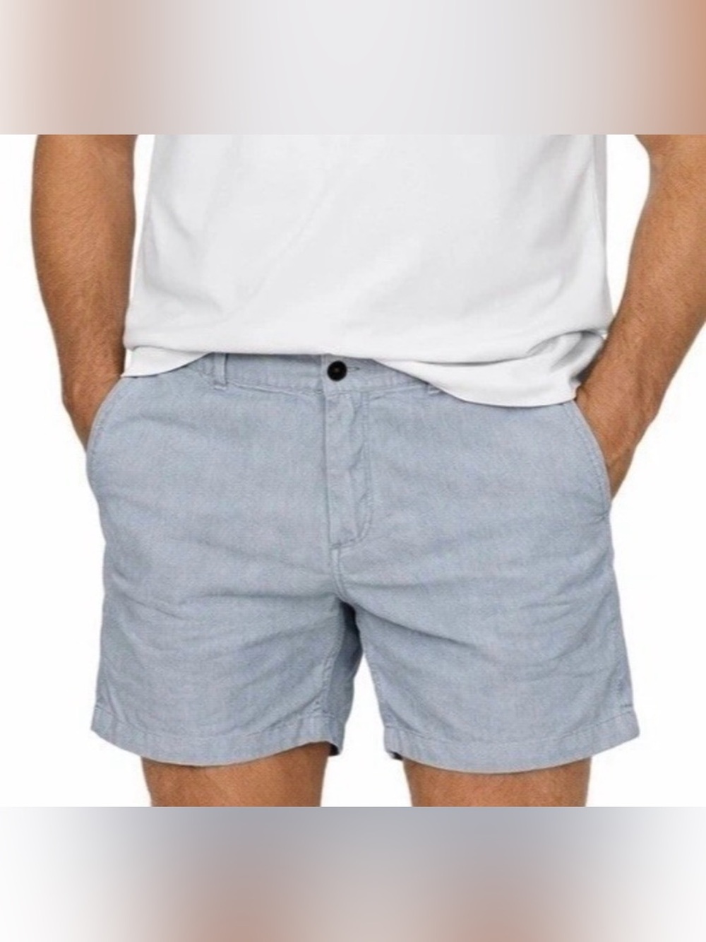 TOMMY HILFIGER Blue Pinstripe Shorts sz 34 Cotton Casual Classic Fit Resort NWT